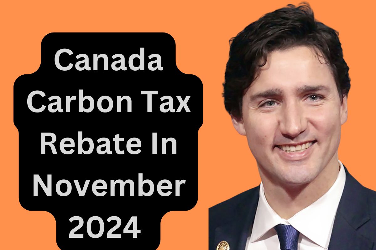 Canada Carbon Tax Rebate In November 2024