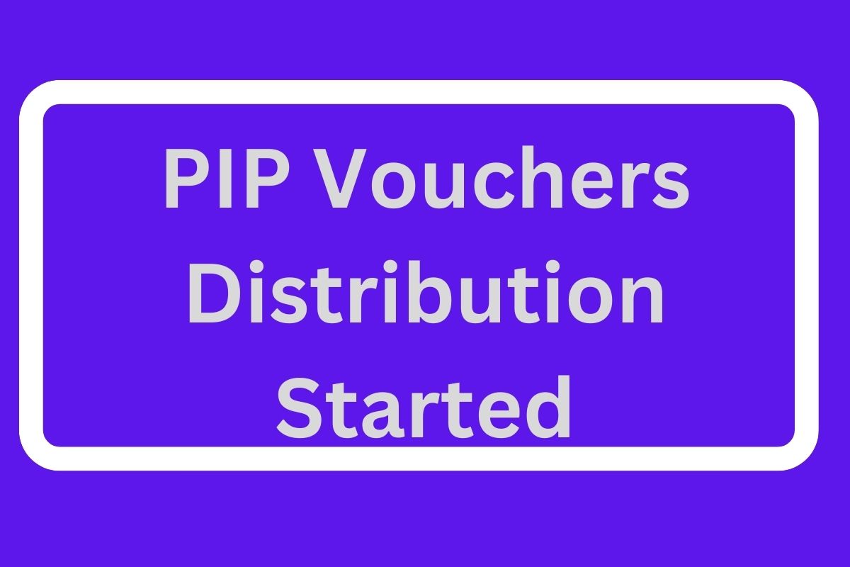 PIP Vouchers Distribution Started in 2024